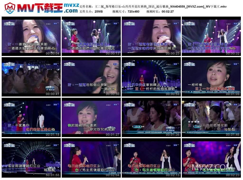 王二妮_斯琴格日乐-山丹丹开花红艳艳_国语_流行歌曲_MA404559